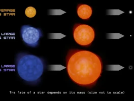 Star Tribune: The Truth Behind the Headlines