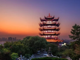 Wuhan: Bio-Smuggling Charges and Tournament Wins